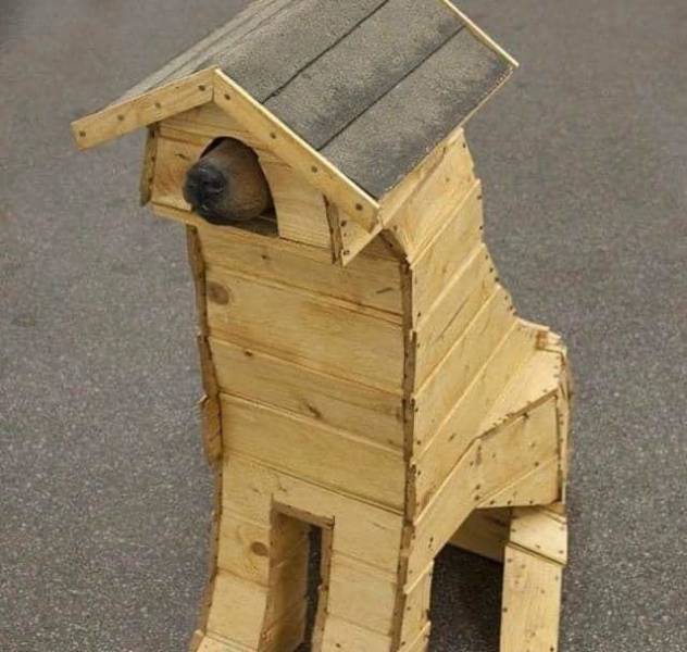 Подборка прикольных картинок Подборка прикольных картинок приколы,смешные картинки,юмор