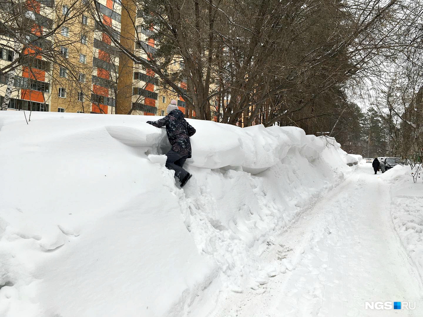 Есть Снег Фото