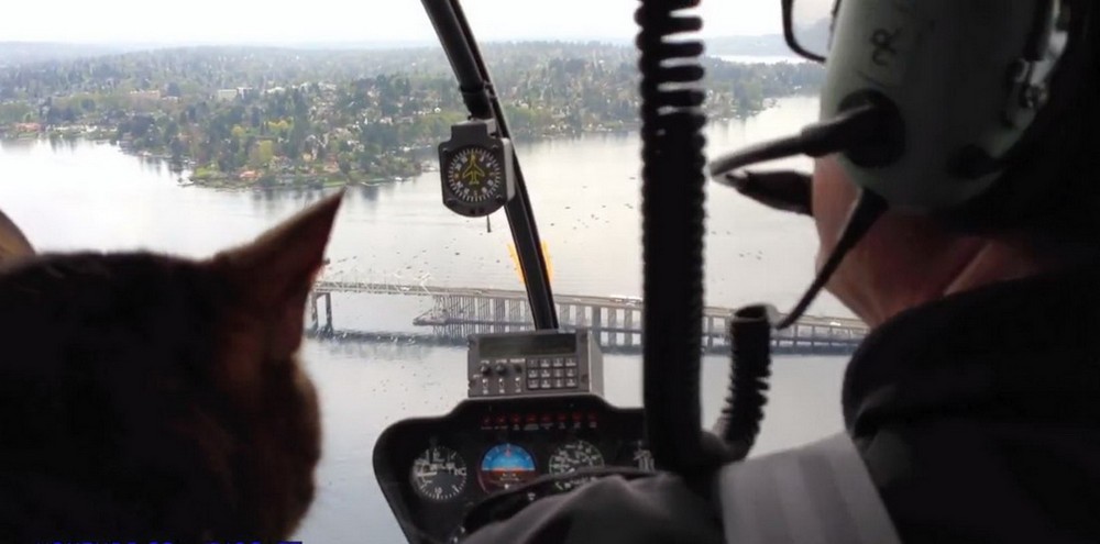 Подборка душевных фотографий Подборка душевных фотографий