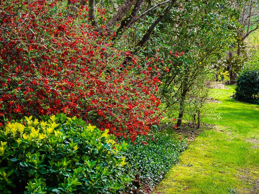 Очередные 10 000 шагов к здоровью Очередные 10 000 шагов к здоровью коронавирус,медицина,общество,яостаюсьдома