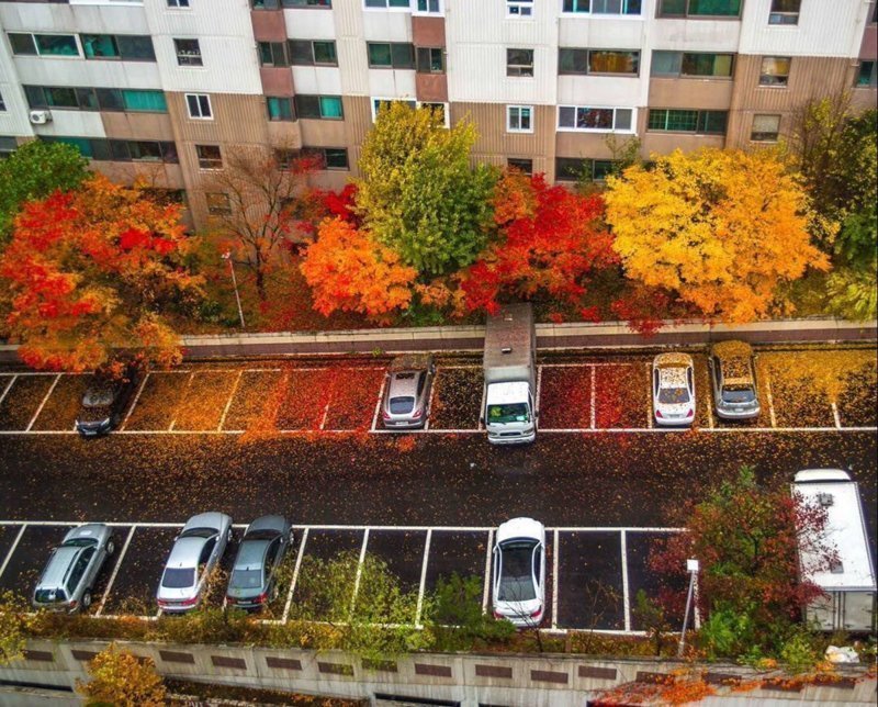 Для по-настоящему красивых фотографий фотошоп не нужен Для по-настоящему красивых фотографий фотошоп не нужен