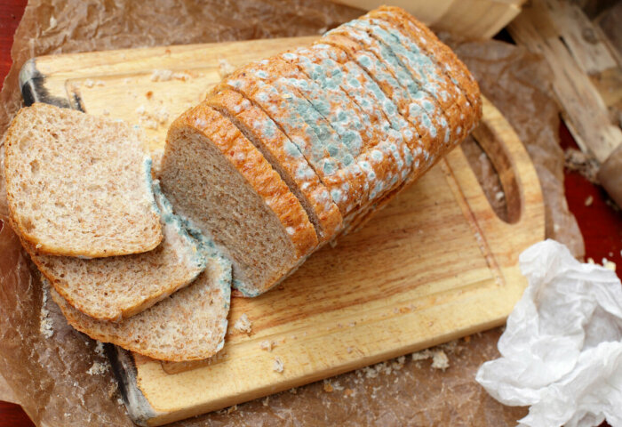 Как правильно хранить хлеб, чтобы он долго оставался мягким и не плесневел изделия, быстро, сейчас, хлебобулочные, продукт, способ, такой, становится, практически, хранения, хлеба, делаем, очень, домой, пакете, одноразовый, именно, берем, холодильникПотом, поместить