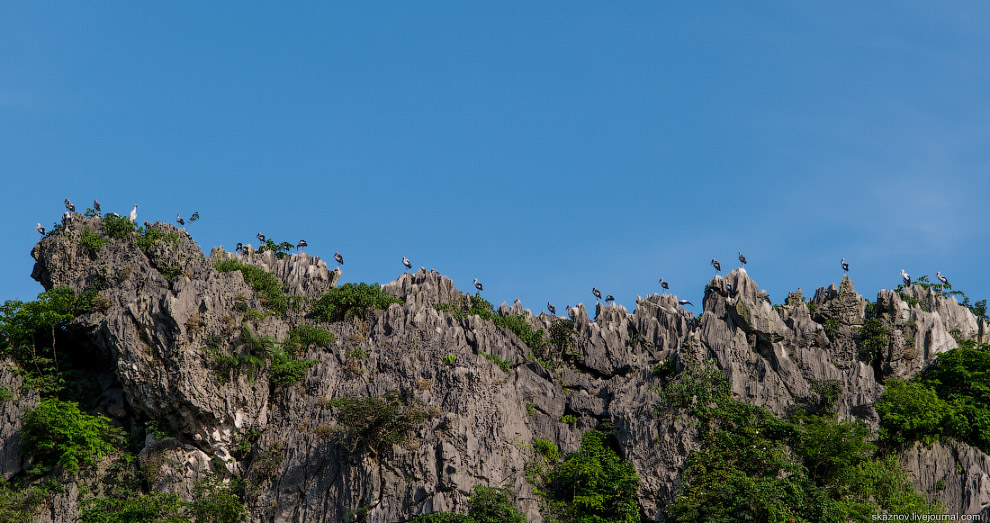 Заповедник водно-болотных угодий Ван Лонг Заповедник водно-болотных угодий Ван Лонг путешествия