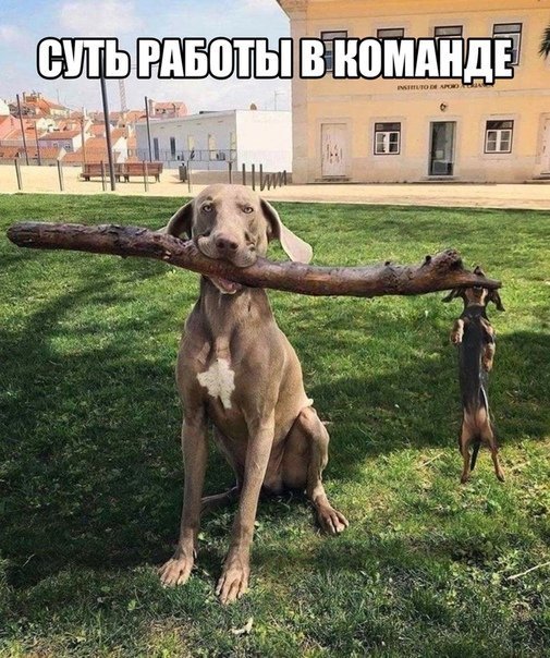 Смешные картинки для поднятия настроения 