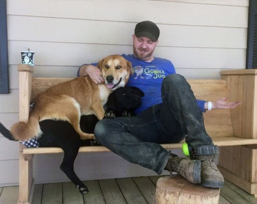 Смешные собаки, которые перенесли странность аж в другое измерение 