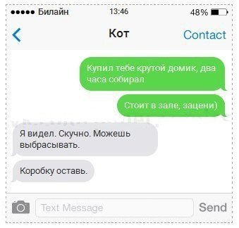 СМС ки от кота, прикольные