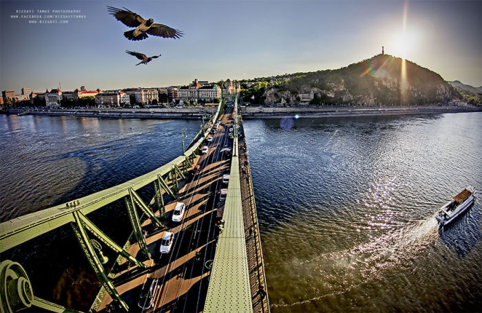 На мосту. Автор фото: Tamas Rizsavi.