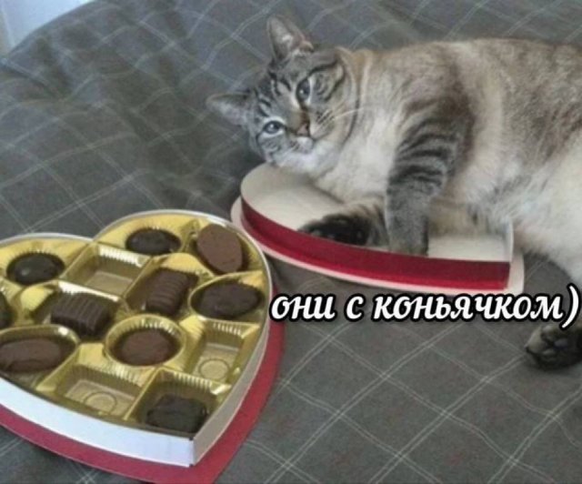 Смешные картинки с надписями и здоровье 