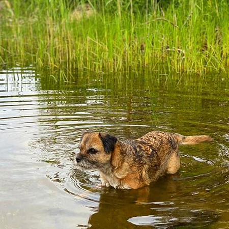 Принц Карл Филипп и принцесса София поделились снимками с семейного пикника с детьми София, Филипп, вместе, прогулку, также, титулы, озере, отправились, Александром, устроили, принца, Карла, шведский, своих, принц, принцесса, чтобы, Густав, Швеции, король