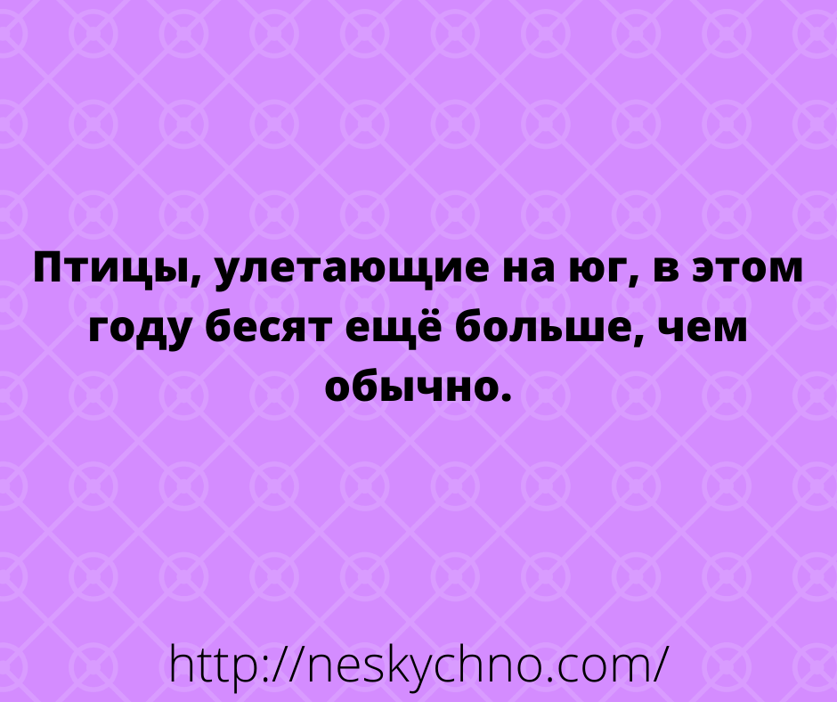 Большая подборка улётных анекдотов и шуток в картинках Большая подборка улётных анекдотов и шуток в картинках