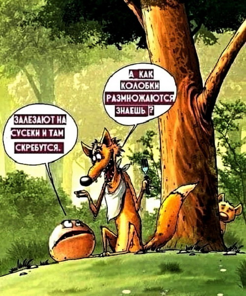 Животный юмор в картинках Животный юмор в картинках