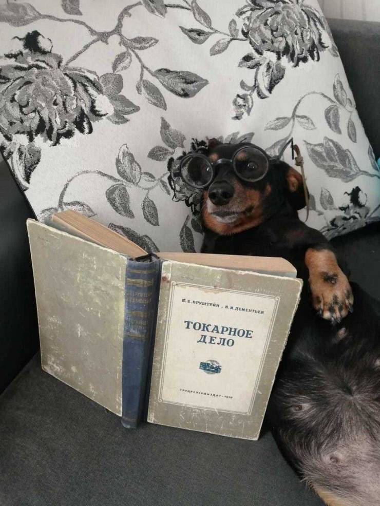 Подборка картинок. Вечерний выпуск Подборка картинок. Вечерний выпуск приколы,смешные картинки,юмор