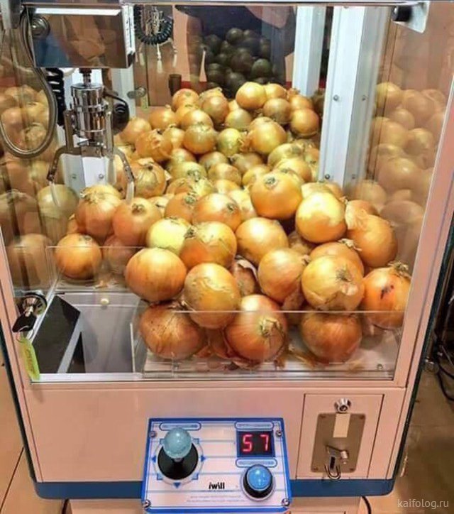 Приколы про лук Приколы про лук