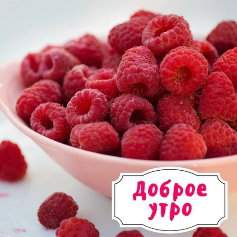 Свежая подборка юмора, который сотворит чудеса с настроением