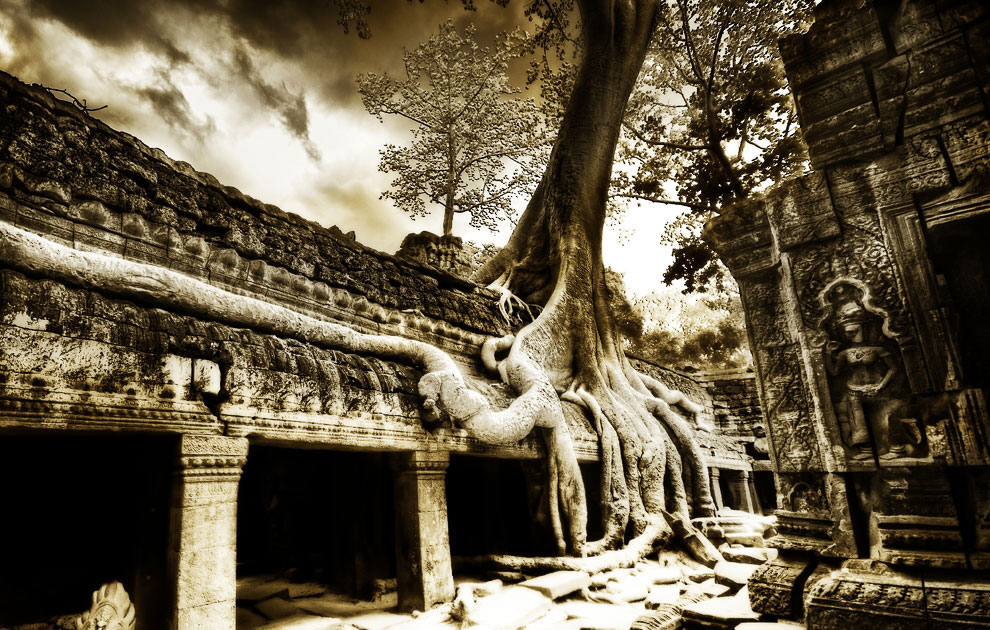 Камбоджийский храм Та Пром (Ta Prohm) и гигантские деревья