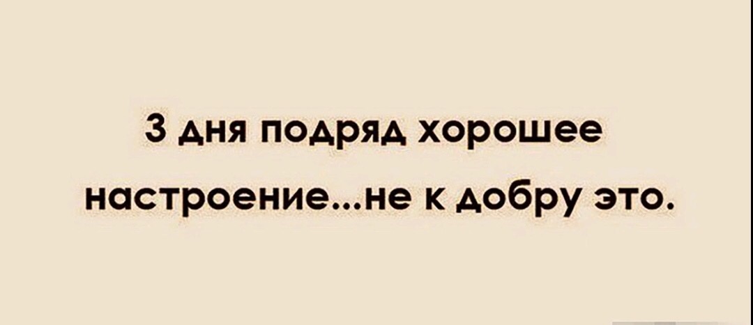 Шутки, анекдоты и забавности, способные поднять настроение 