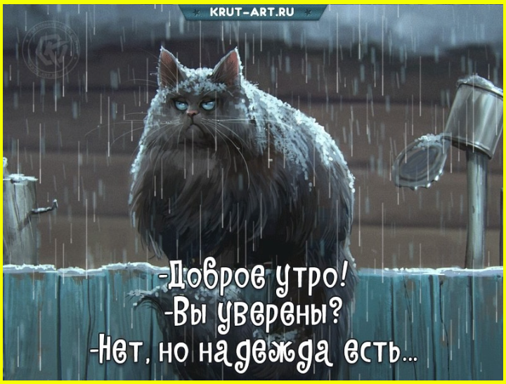 Доброутрешние весёлые картинки. С пятницей! 