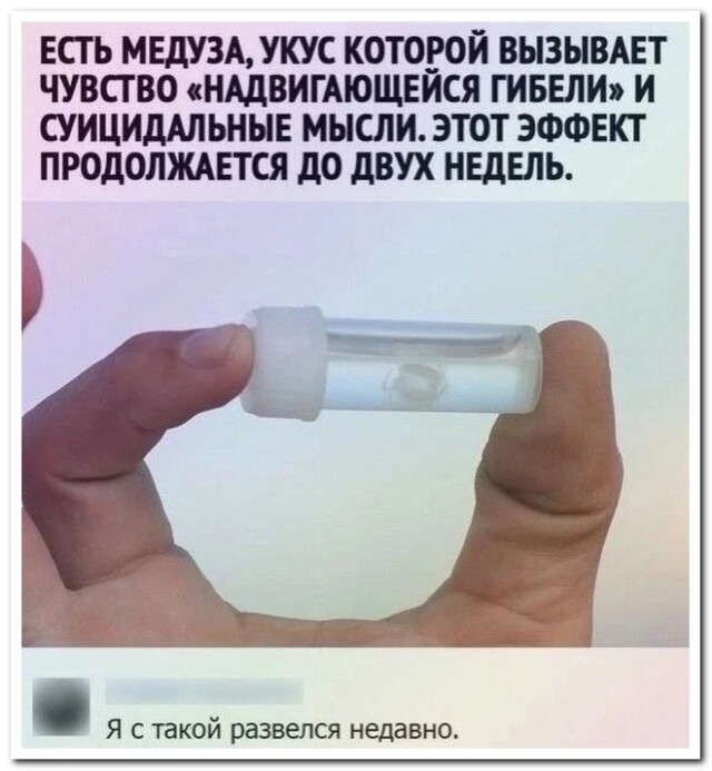 Поднимающий настроение пост со смешными комментариями и СМС-диалогами! Поднимающий настроение пост со смешными комментариями и СМС-диалогами!