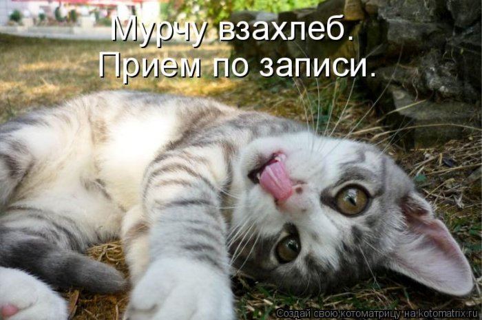 Мысли вслух :)
