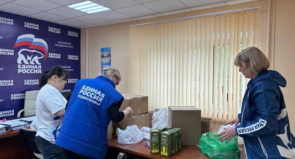 Около 0,5 тонны гуманитарной помощи отправили активисты «Единой России» из Можайска в Белгородскую область