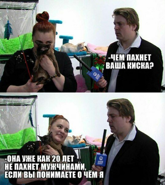 Нестандартный юмор :)