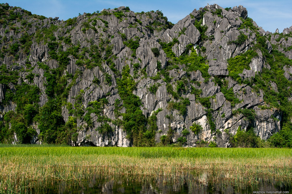 Заповедник водно-болотных угодий Ван Лонг Заповедник водно-болотных угодий Ван Лонг путешествия