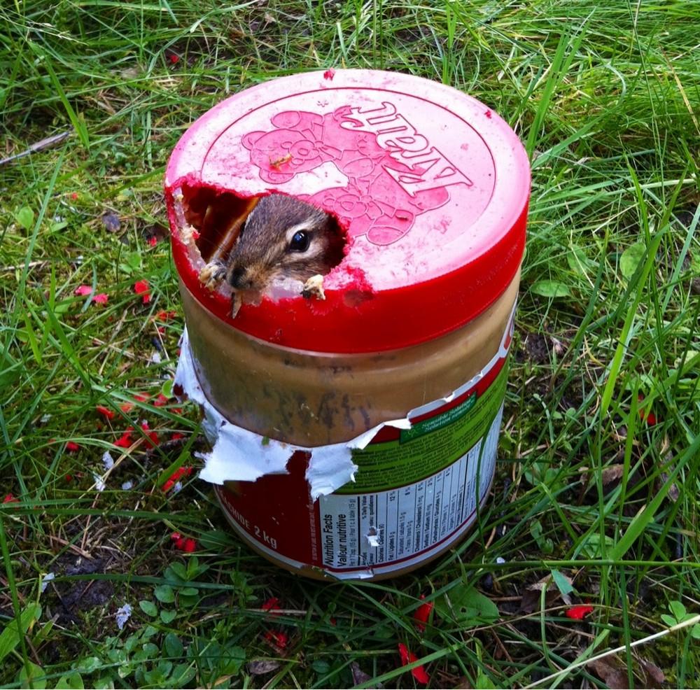 Подборка душевных фотографий Подборка душевных фотографий