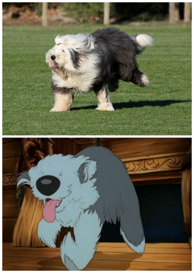 Фильмы о бобтейлах: