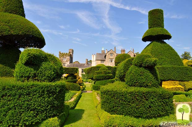 Сад Левенс Холл – самый красивый и самый ароматный сад в мире, Англия 