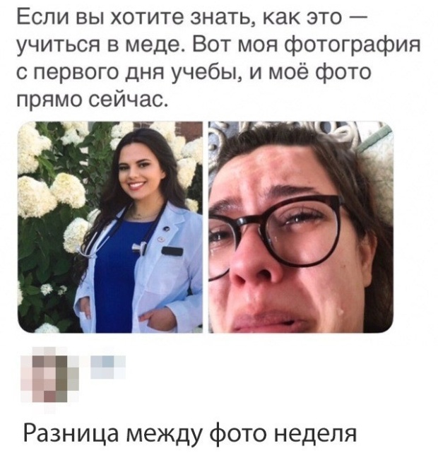 Подборка смешных картинок Подборка смешных картинок смешные картинки