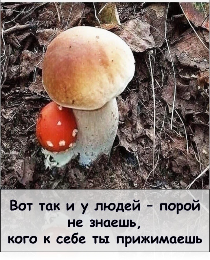 Отказывать учит наглость берущего