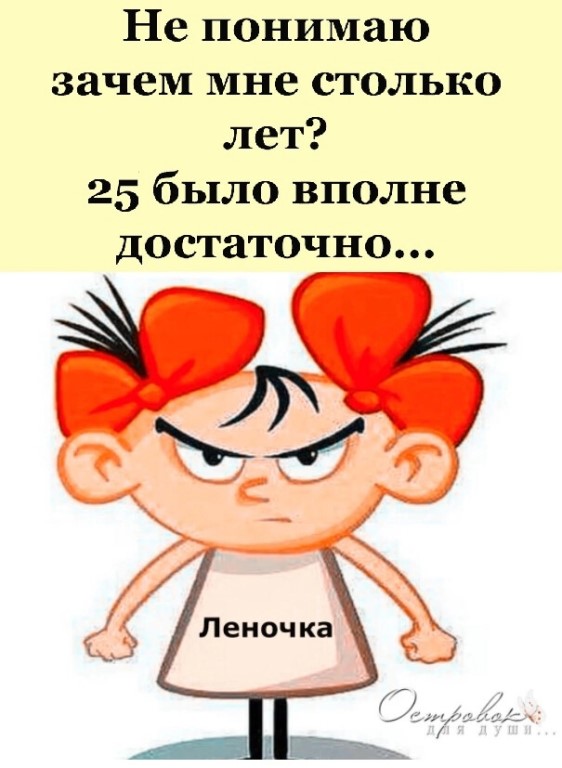 Шутки, анекдоты и забавности, способные поднять настроение 