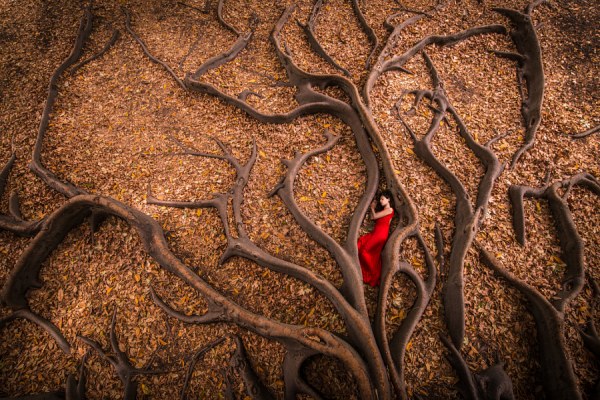 20 лучших портретных снимков 2016 года на фотосайте 20 лучших портретных снимков 2016 года на фотосайте