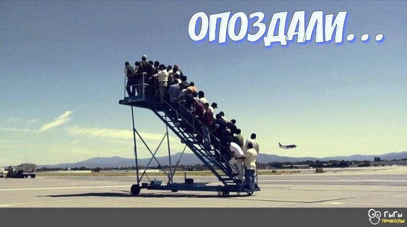 Из зоопарка сбежал слон. Звонок шерифу... Из зоопарка сбежал слон. Звонок шерифу... Весёлые,прикольные и забавные фотки и картинки,А так же анекдоты и приятное общение