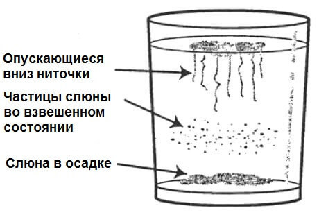 %image_alt%