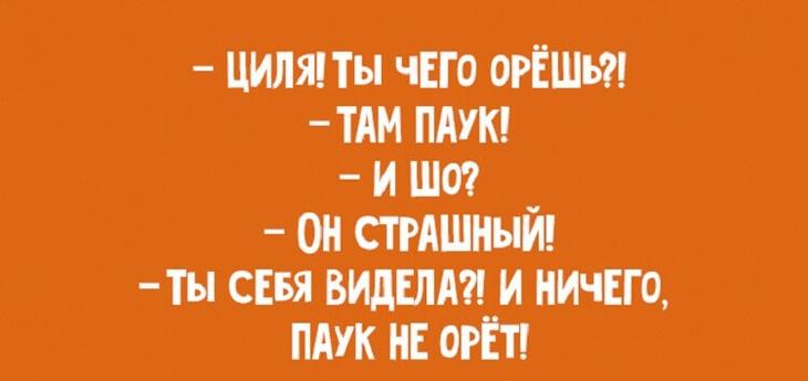 Дюжина обалденных одесских анекдотов яйца—, салате, Розочка, Соскучились, мужейидиотов, полицейский, водителя, пили —, спрашивают, пили», ктонибудь, поинтересовался, яПослушаешь, женщин, Привозе, гениальные, парадокс… Одесса, Генетический, Моисеевич, Ресторан—