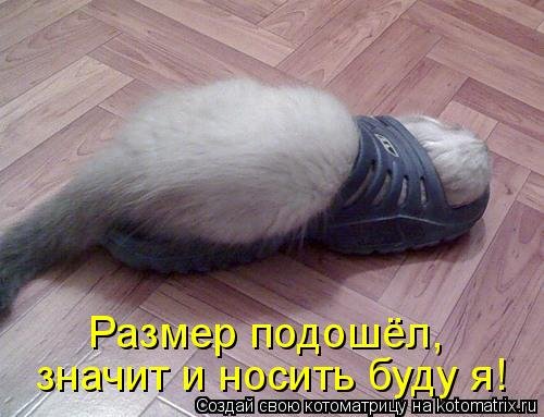 Котоматрица для всех позитив