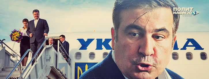 Саакашвили затаился накануне отъезда Порошенко за границу