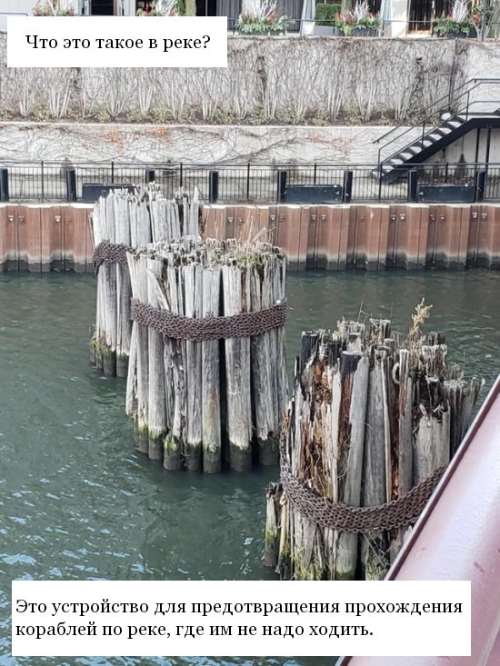 Пользователи соцсетей интересуются необычными находками Пользователи соцсетей интересуются необычными находками юмор