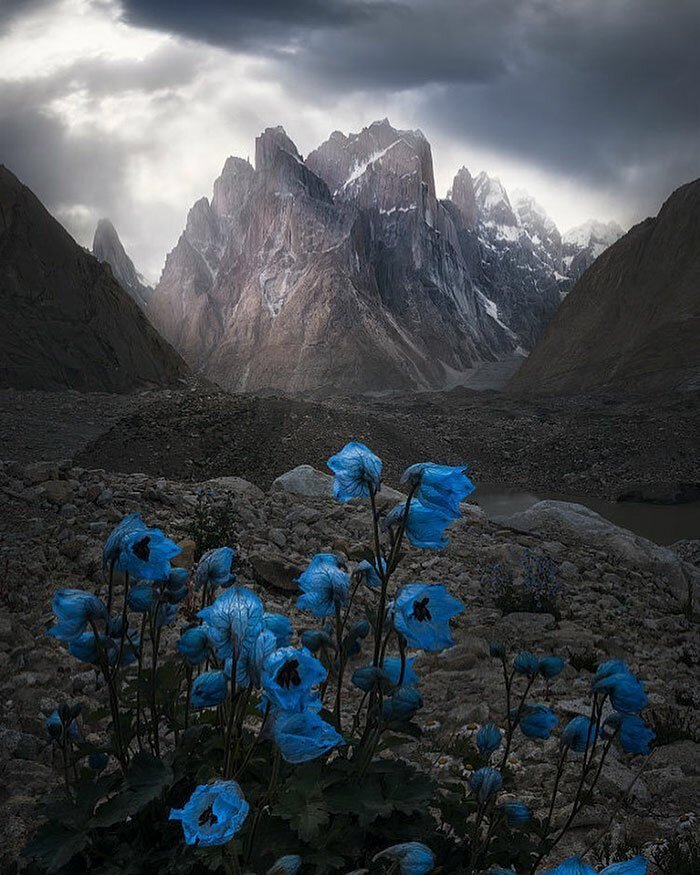 Наша потрясающая планета: 30 лучших пейзажей с конкурса Landscape Photographer Of The Year природа