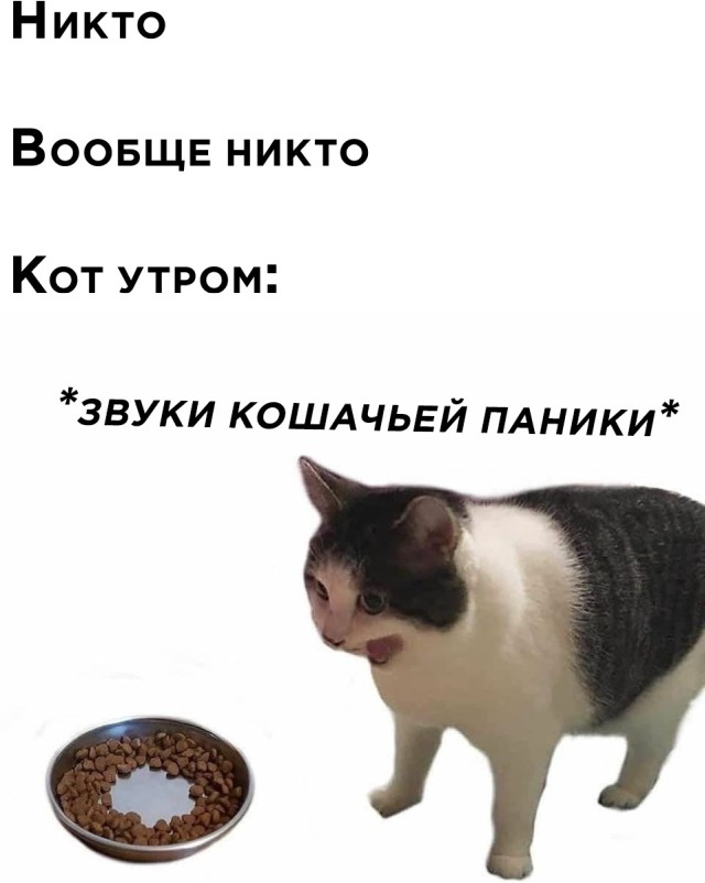 Подборка смешных картинок. Вечерний выпуск Подборка смешных картинок. Вечерний выпуск