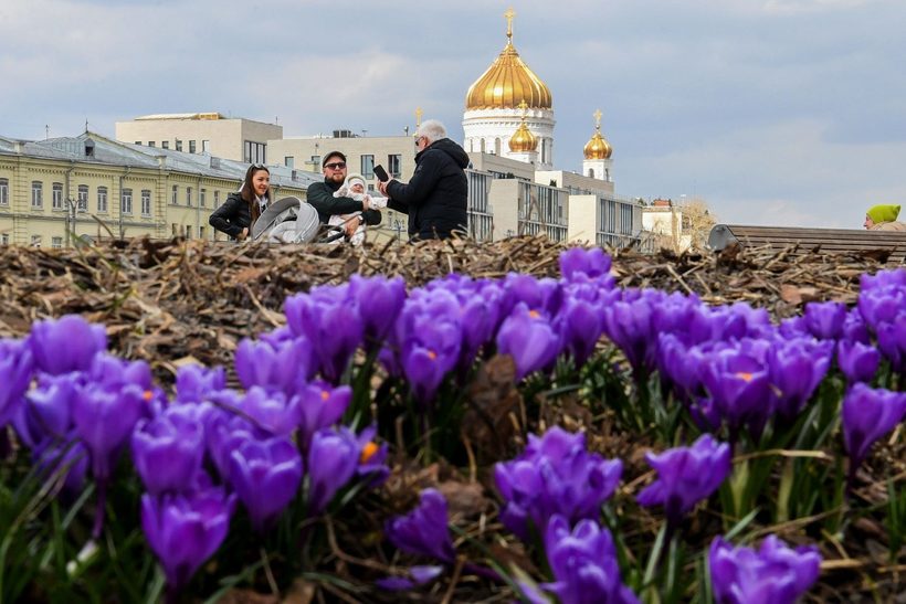 От Азии до Америки: 12 ярких фотографий о том, что весна наконец-то пришла