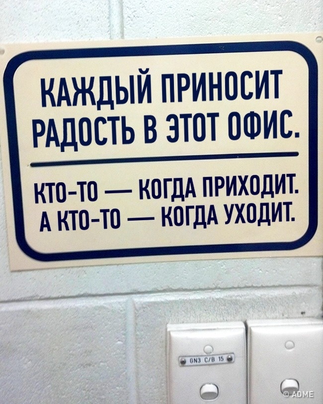 Прикольные картинки и высказывания для офиса, про домашние