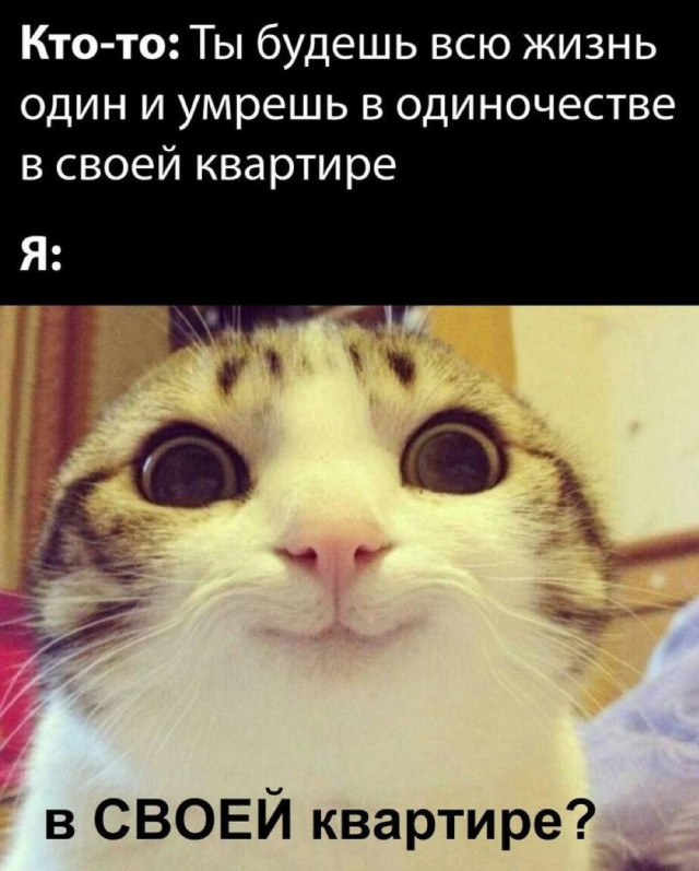 Середина недели — приколы подоспели: «Что нравится в постели?» 