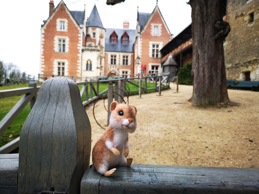Замок Кло-Люсе Chateau Le Clos-Luce. Здесь жил Леонардо да Винчи. Замок Кло-Люсе Chateau Le Clos-Luce. Здесь жил Леонардо да Винчи. авиатур