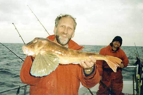 Морской петух – рыба способная