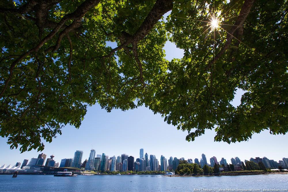 Такая впечатляющая Аляска Такая впечатляющая Аляска природа