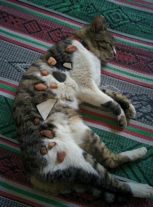 17 правдивых фотографий об истинных «радостях» родительства 233,дети,интересное,юмор и курьезы