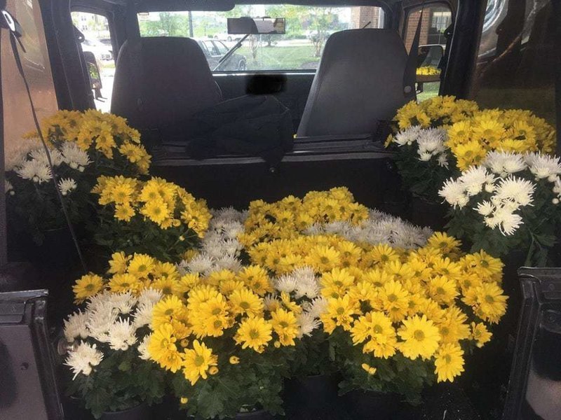 12. «После выпускного эти цветы могли быть просто выброшены, но я отнёс их в свою машину, чтобы отвезти в местный дом престарелых» в мире, добро, истории, люди, позитив, фото