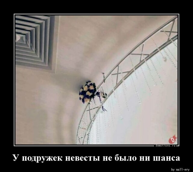 Очередная коллекция прикольных демотиваторов на любой вкус Очередная коллекция прикольных демотиваторов на любой вкус